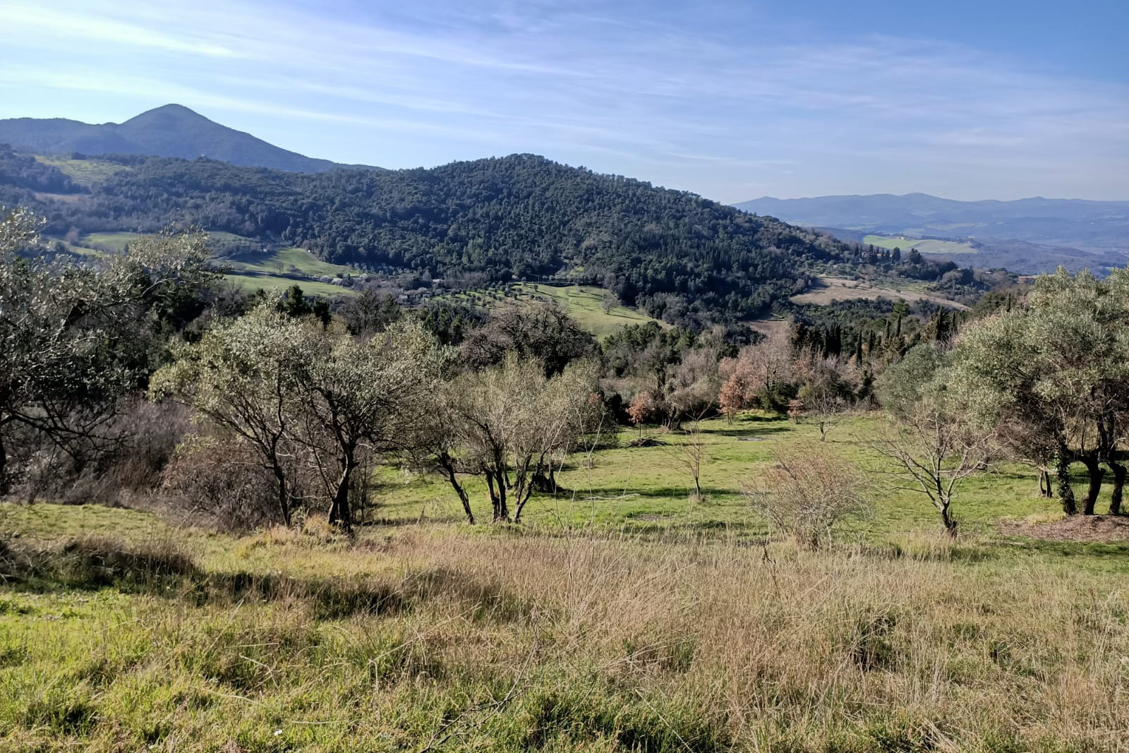 Cerchioinfinito-Spazi-Verdi